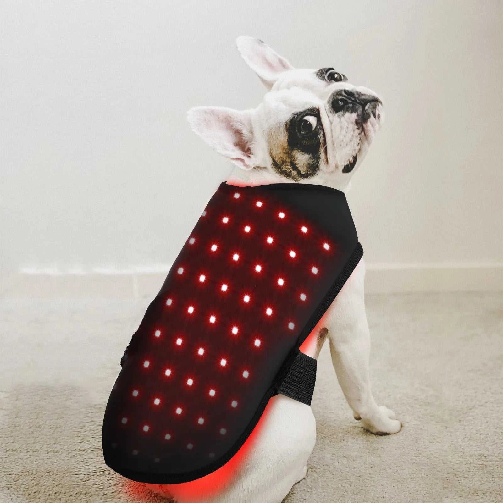 2026 Infrared Light Therapy Device Red Light Therapy Belt Small Dog/ Cat Infrared Therapy Wrap