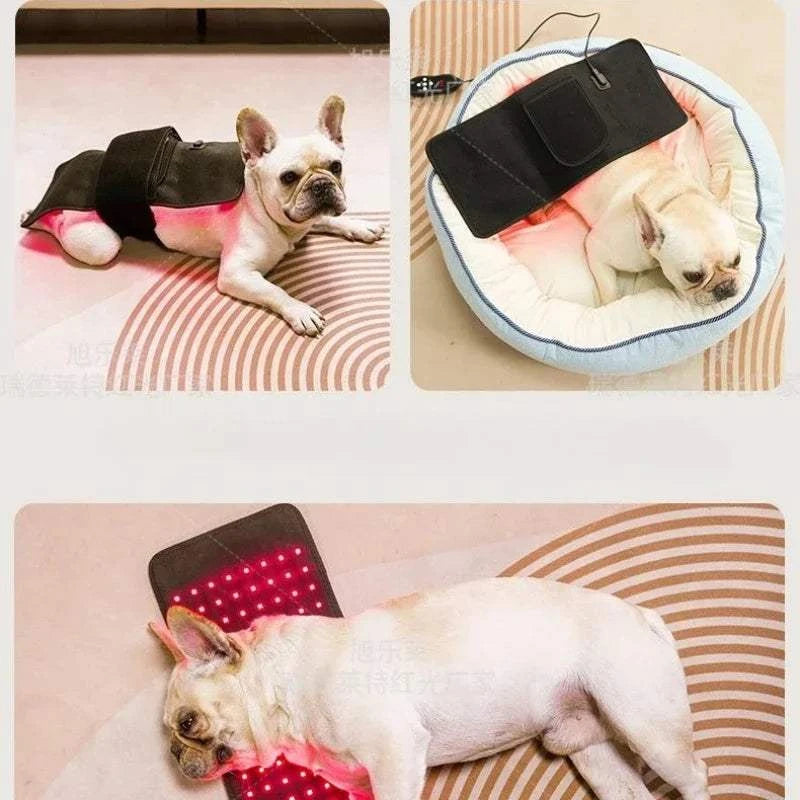 Red Light Therapy Belt for Body Infrared Light Therapy Device LED Wearable Wrap for Back Shoulder Waist Muscle Pain Relief