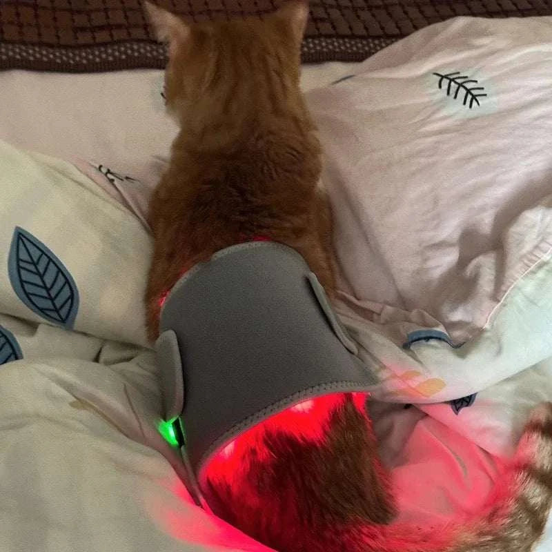 Red Light Therapy Belt for Body Infrared Light Therapy Device LED Wearable Wrap for Back Shoulder Waist Muscle Pain Relief