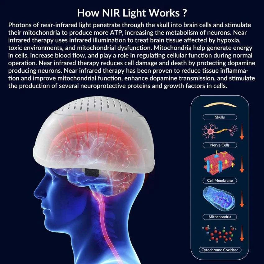 280 Diodes PBM Neuromodulacion Brain Wave Helmet 1070nm Infrared Light therapy illustration showing light penetration and effects on brain and cells.