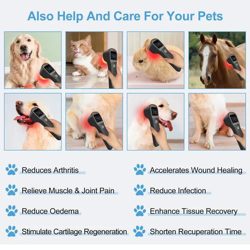 Handheld laser therapy device for pet pain relief and recovery.