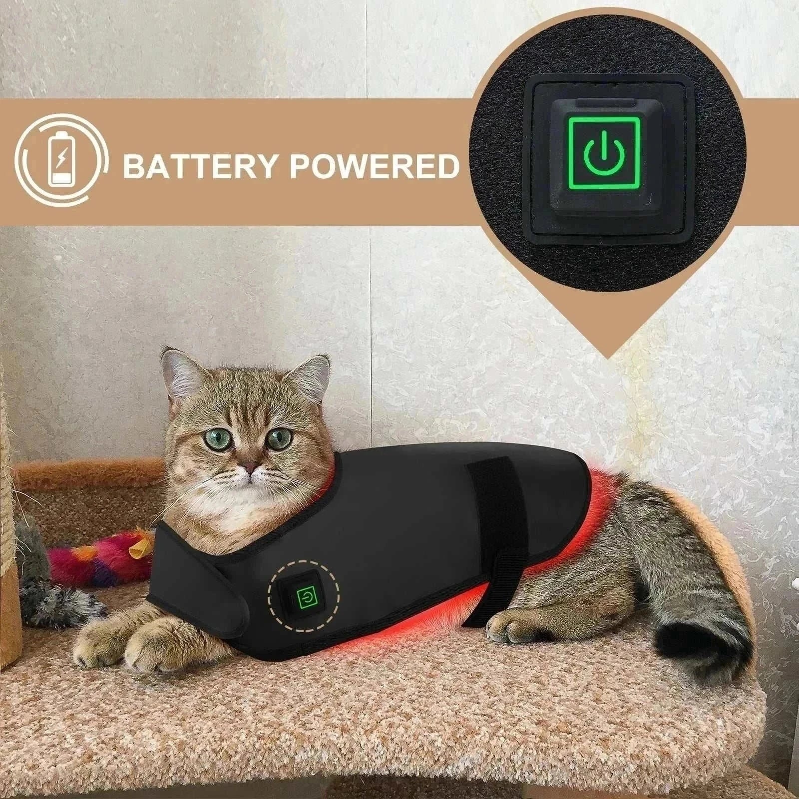 Battery-powered custom LED red light therapy blanket on a cat.