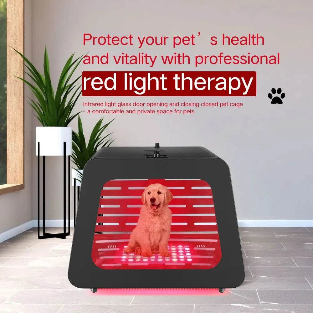 AZURE Infrared Dog Cat American Shorthair Pet Crate Red Light Therapy Carrier Kennel Metal Health Bed House