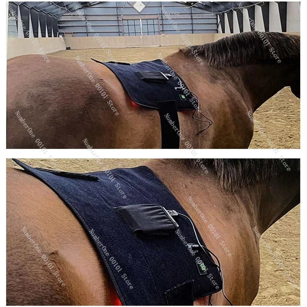 2026 850nm 660nm Flexible Wearable Pain Relief Pet Horse Used Infrared Pad Red Infrared Light Therapy Belt