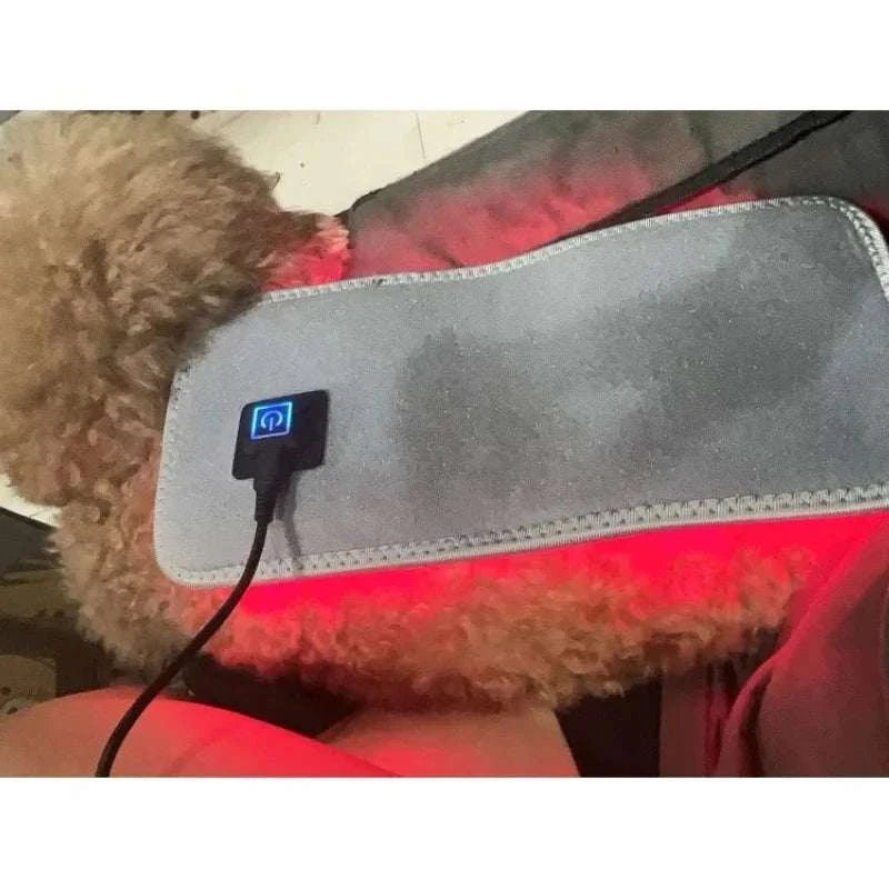 Red Light Therapy Belt for Body Infrared Light Therapy Device LED Wearable Wrap for Back Shoulder Waist Muscle Pain Relief