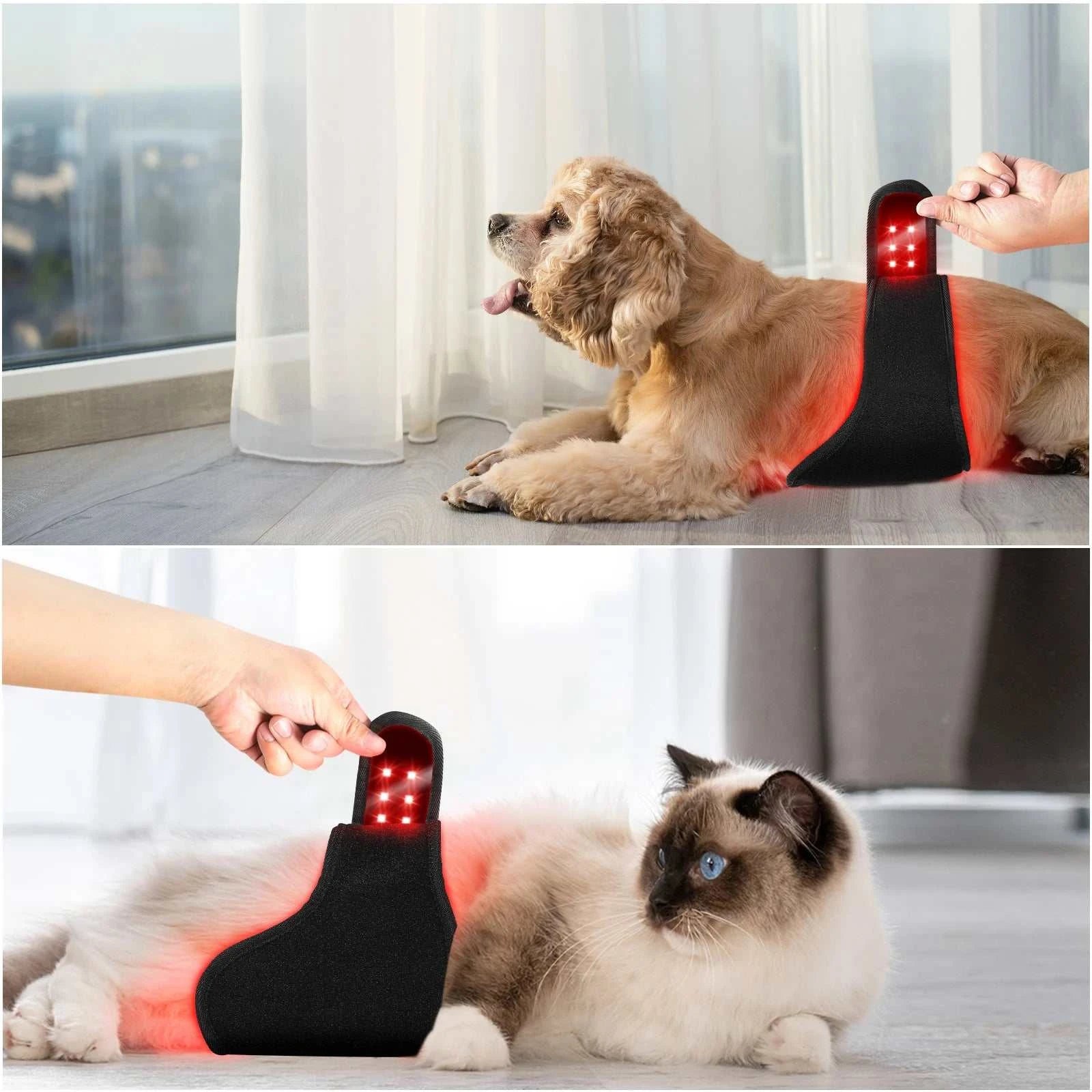 Pet Products Red Light Therapy Wrap 660nm 850nm Pain Relief Infrared Therapy Mat Animal Healthcare