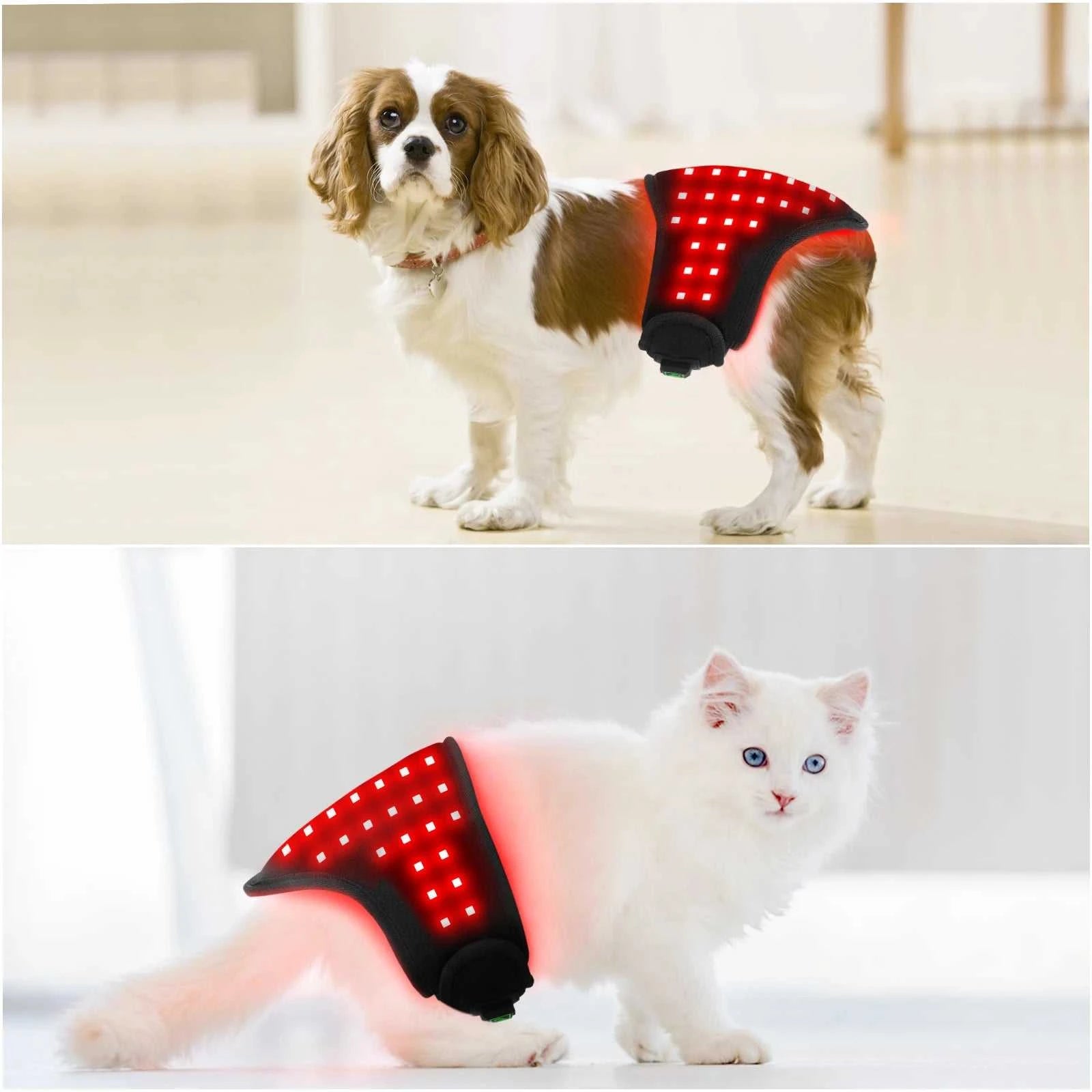Pet Products Red Light Therapy Wrap 660nm 850nm Pain Relief Infrared Therapy Mat Animal Healthcare