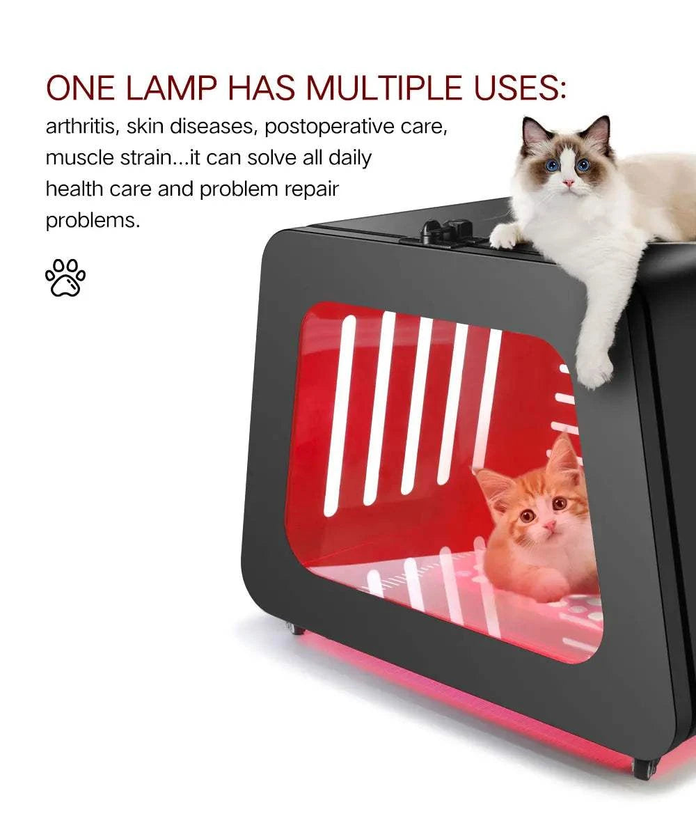AZURE Infrared Dog Cat American Shorthair Pet Crate Red Light Therapy Carrier Kennel Metal Health Bed House