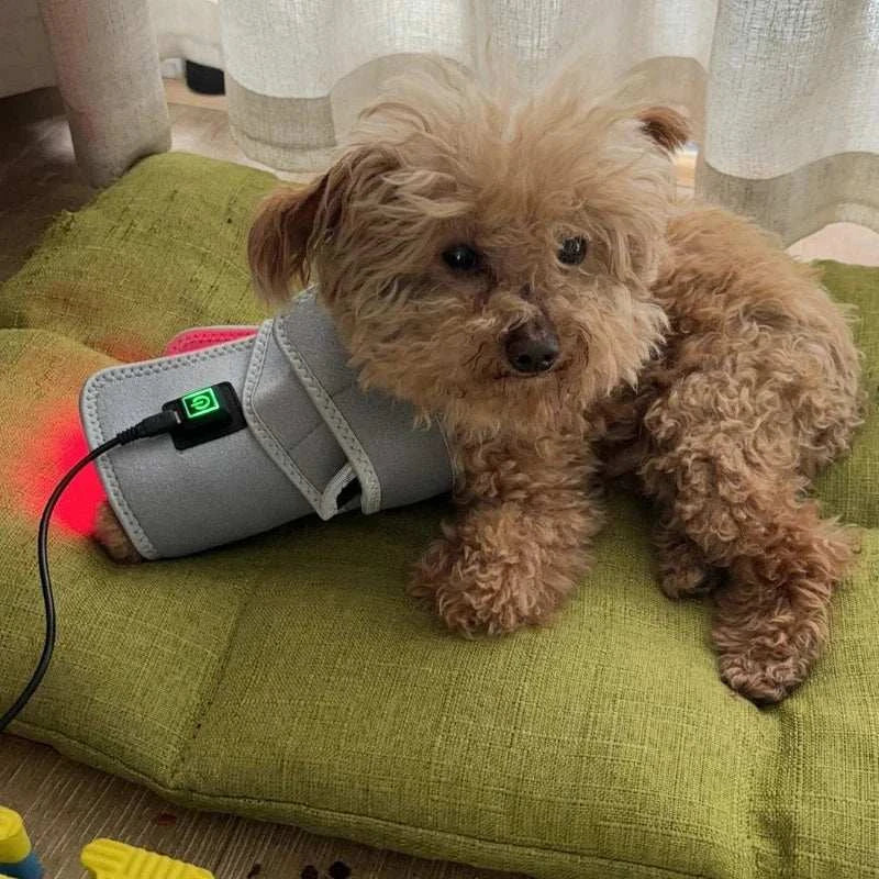 Red Light Therapy Belt for Body Infrared Light Therapy Device LED Wearable Wrap for Back Shoulder Waist Muscle Pain Relief