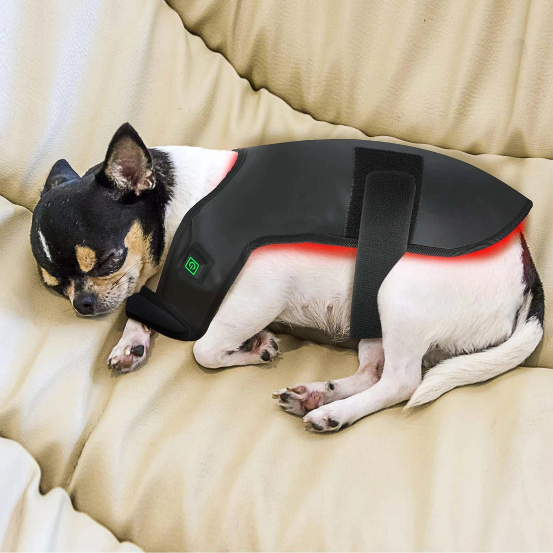 2026 Infrared Light Therapy  Device Red Light Therapy Belt Small Dog/ Cat Infrared Therapy Wrap