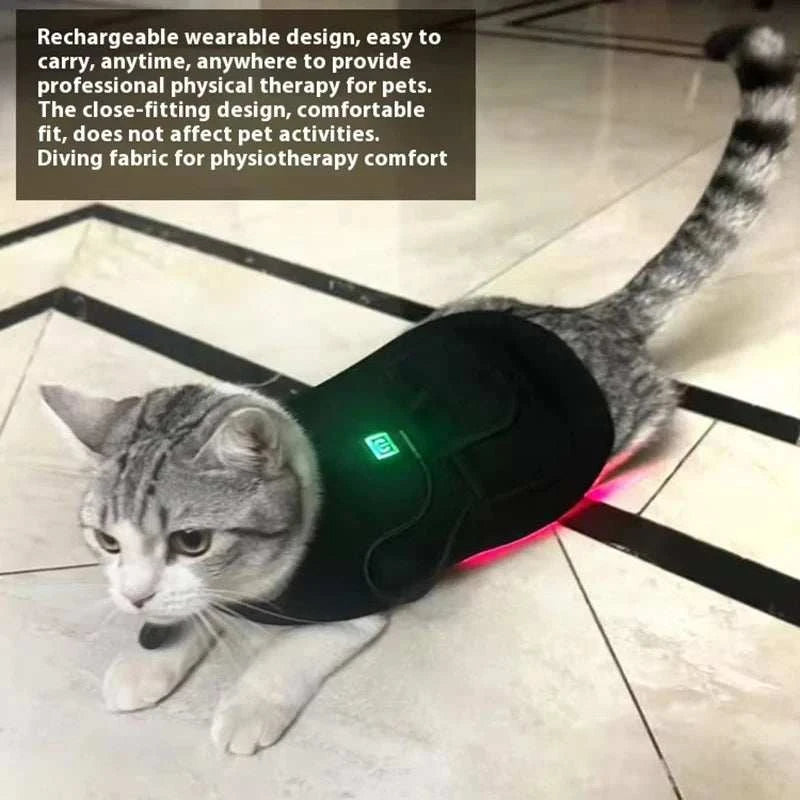 New 2026 Trend Infrared Light Therapy Red Light Cats and Dog Device Red Light Therapy Belt  Infrared Therapy Wrap