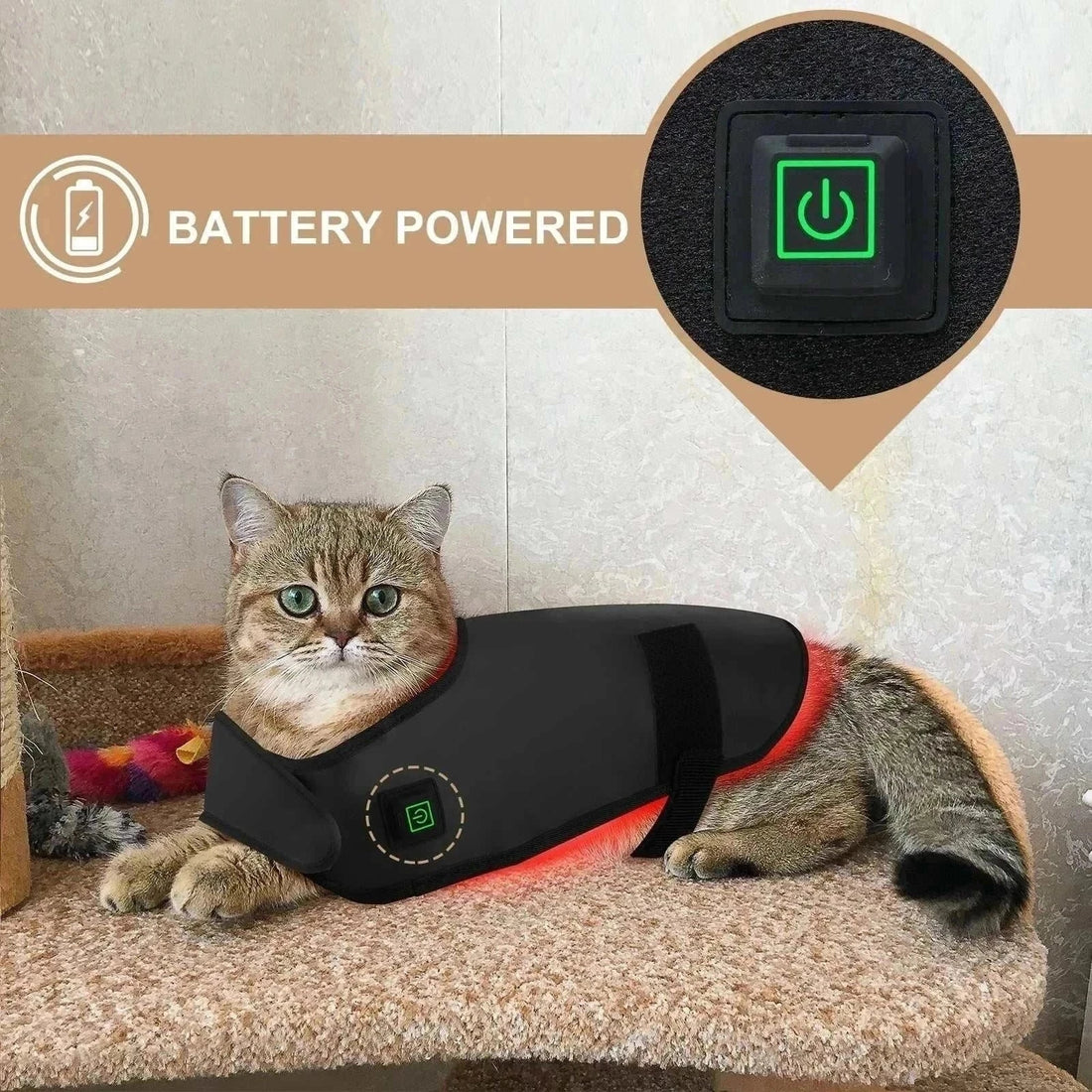 Battery-powered custom LED red light therapy blanket on a cat.