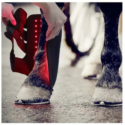 2025 LED Red Light Near Infrared Light Pet Horse Light Therapy Led Lamp Horse Red Light Therapy Pad Machine Black