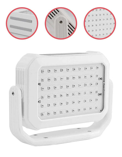 2026 Trending New Handheld 660nm 850nm Red Light Therapy  Portable Light Therapy